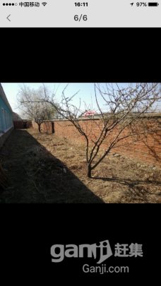 宏伟区兰家镇单家村三亩大院500房出租-图4